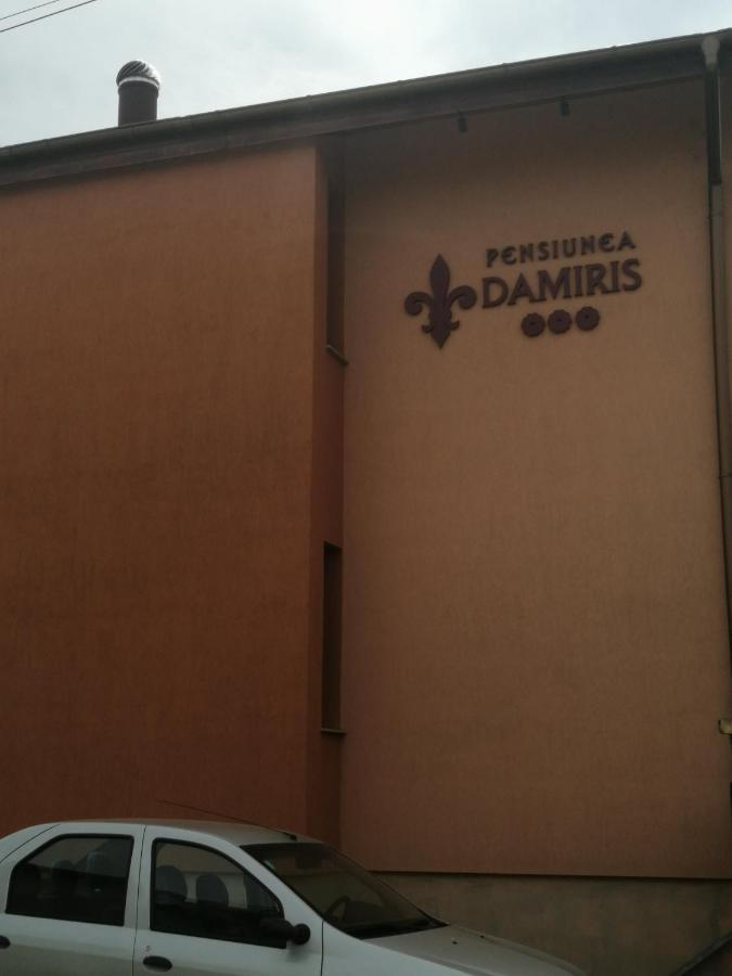 Pensiunea Damiris Félixfürdő Kültér fotó